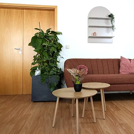 Apartman Bohnapartments - Am Theater- Wlan- Terrasse- - Vollausstattung
